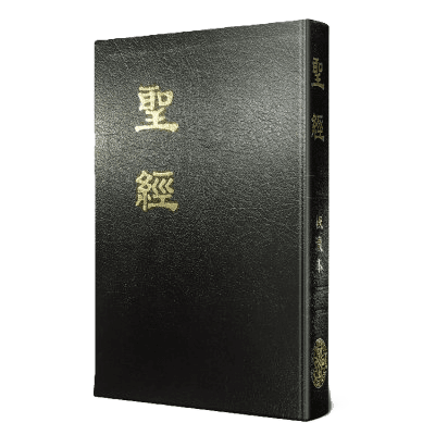Bible Overview
